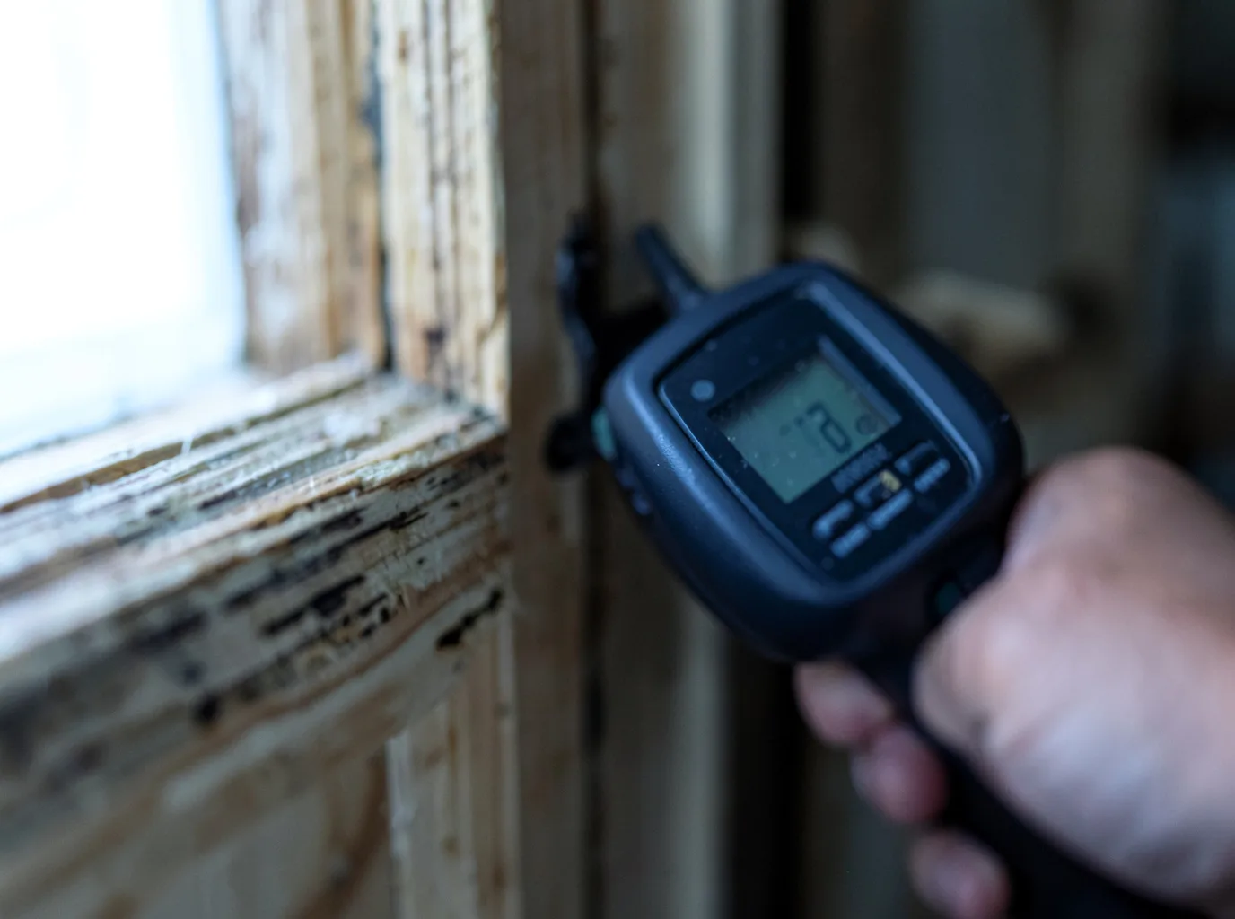 Commercial Water Damage Restoration in Nixon, NV